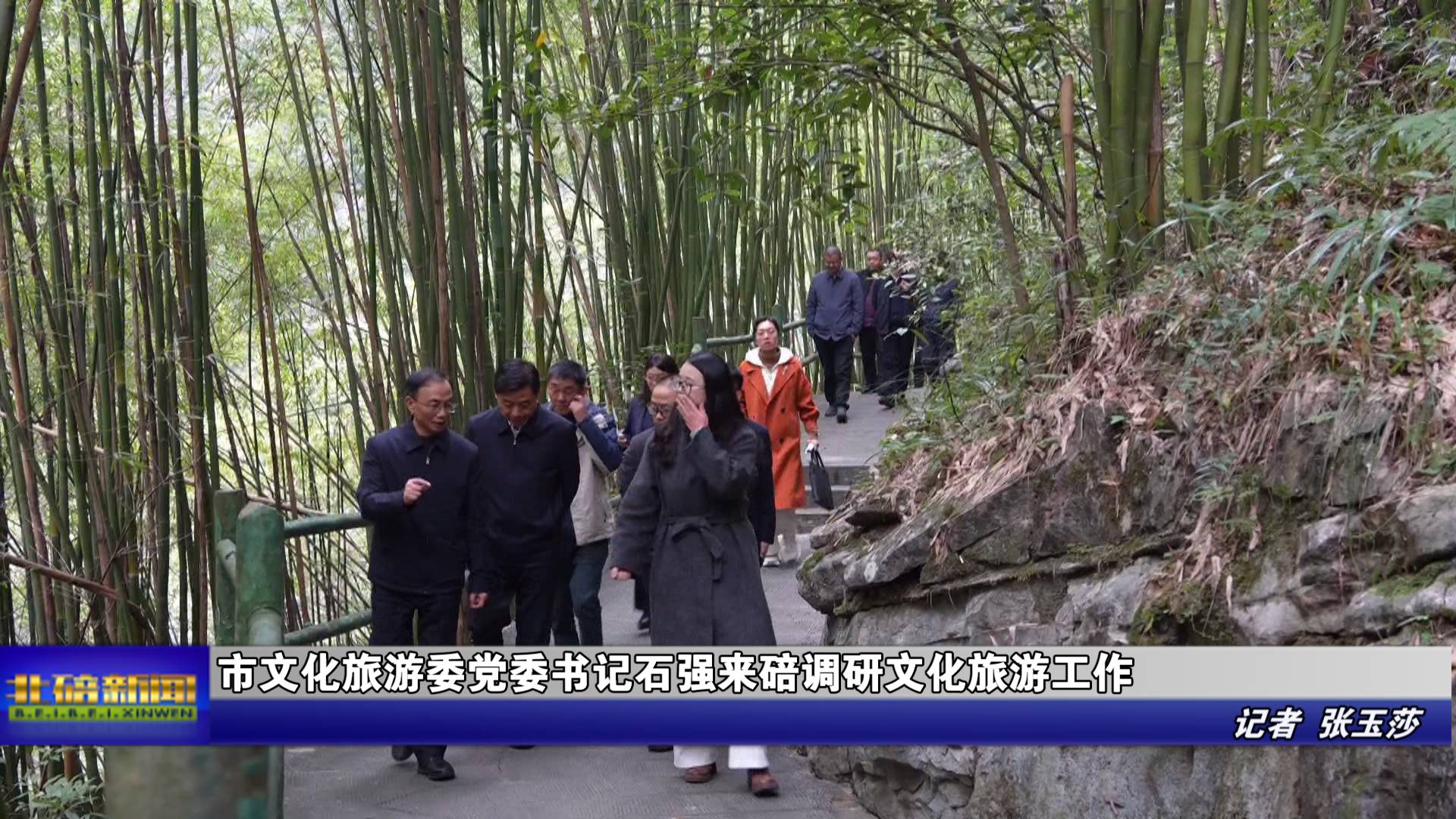 市文化旅游委党委书记石强来碚调研文化旅游工作