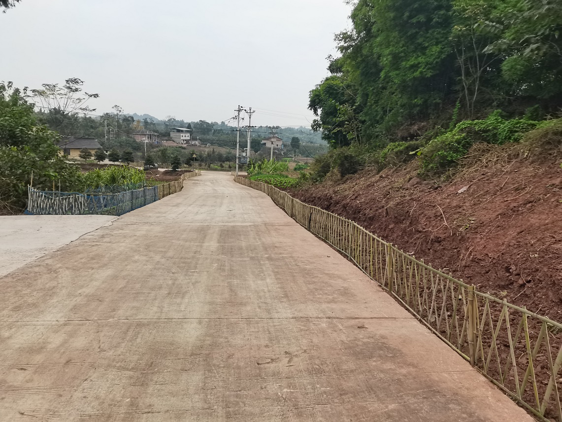 12月5日，大足区龙石镇凤凰村的竹栅栏成为助力当地美丽人居环境建设的一道靓丽风景。通讯员 彭远琴 供图.jpg