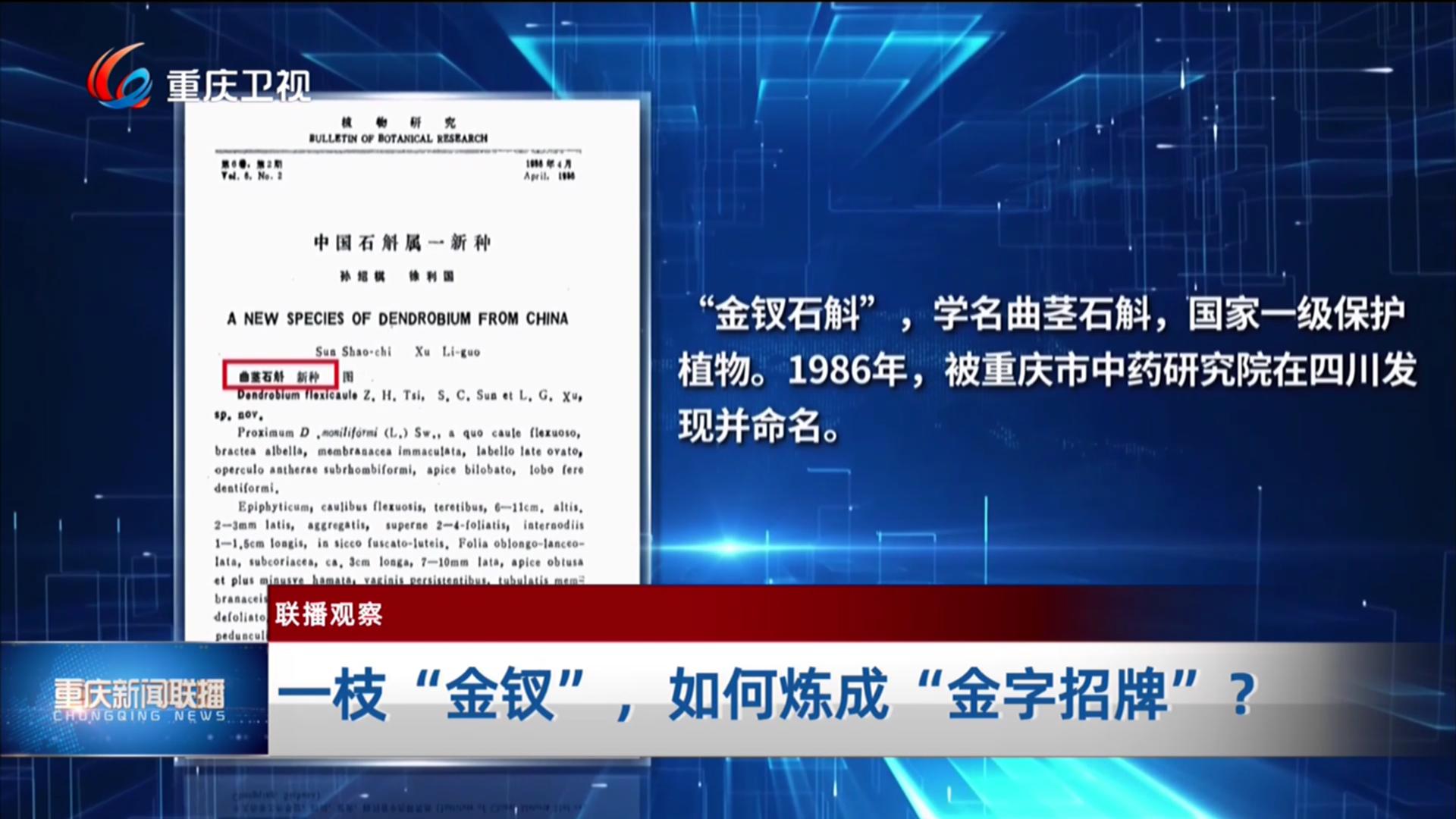 一枝“金钗”，如何炼成“金字招牌”？