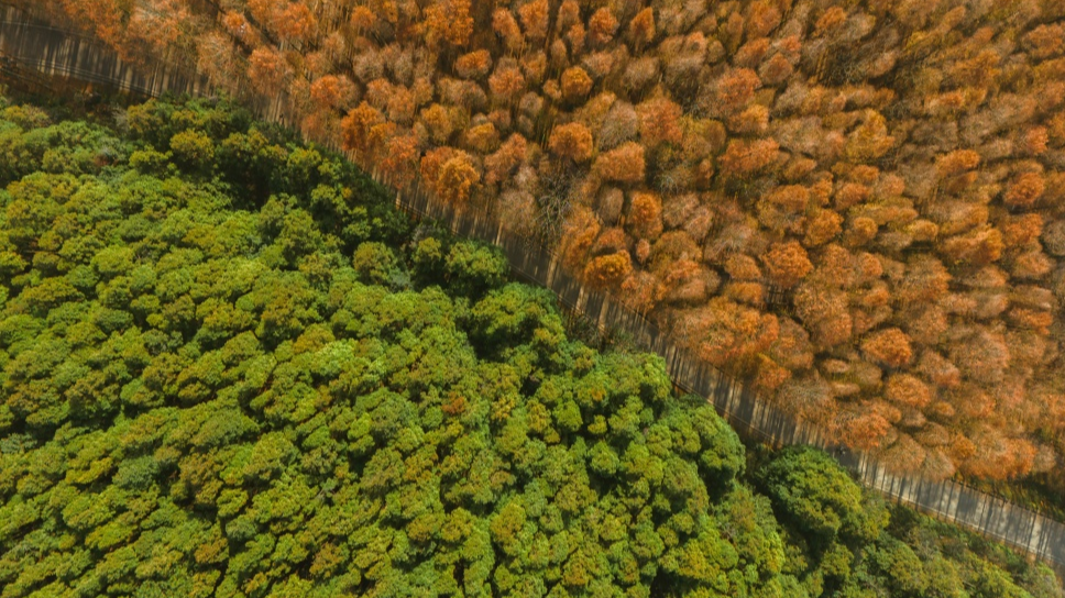 以前盼客来又怕留不住，现在家家户户都能接待——南川山王坪村的民宿“突围记”