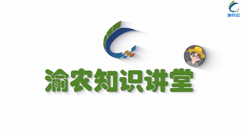 【渝农知识讲堂】猕猴桃疏果技巧