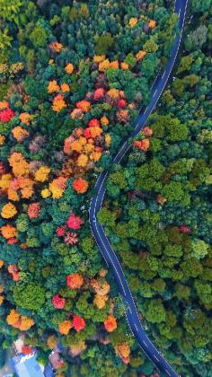 重庆南岸:初冬调色盘泼洒南山