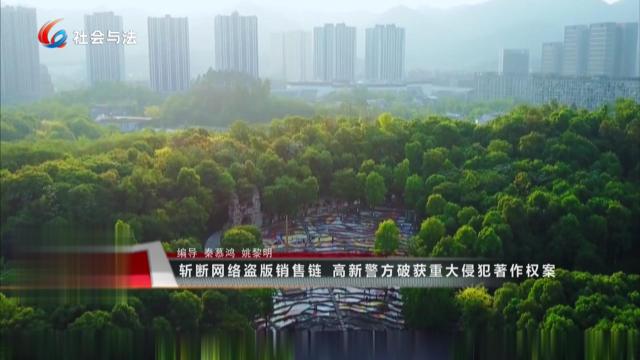 斩断网络盗版销售链 高新警方破获重大侵犯著作权案