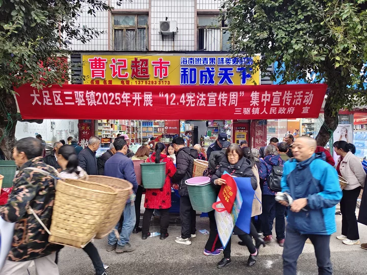 宪法精神润乡野法治清风入民心 ——三驱镇12・4国家宪法日宣传活动圆满开展