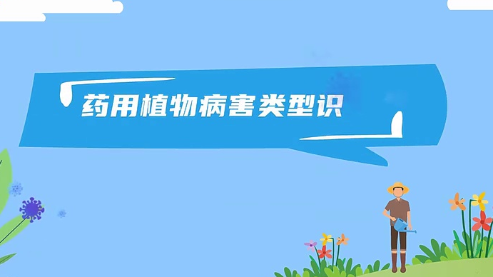 【农技短视频】药用植物病害类型识别