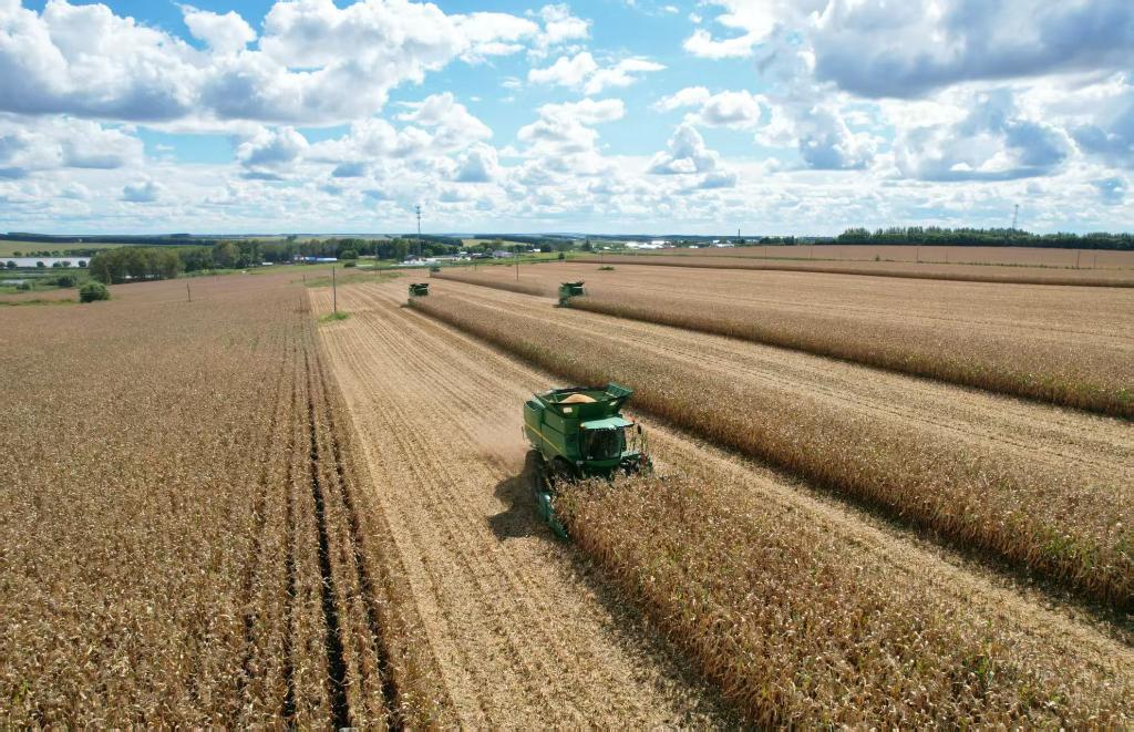 我国最大垦区北大荒集团粮食总产463.14亿斤实现“二十二连丰”