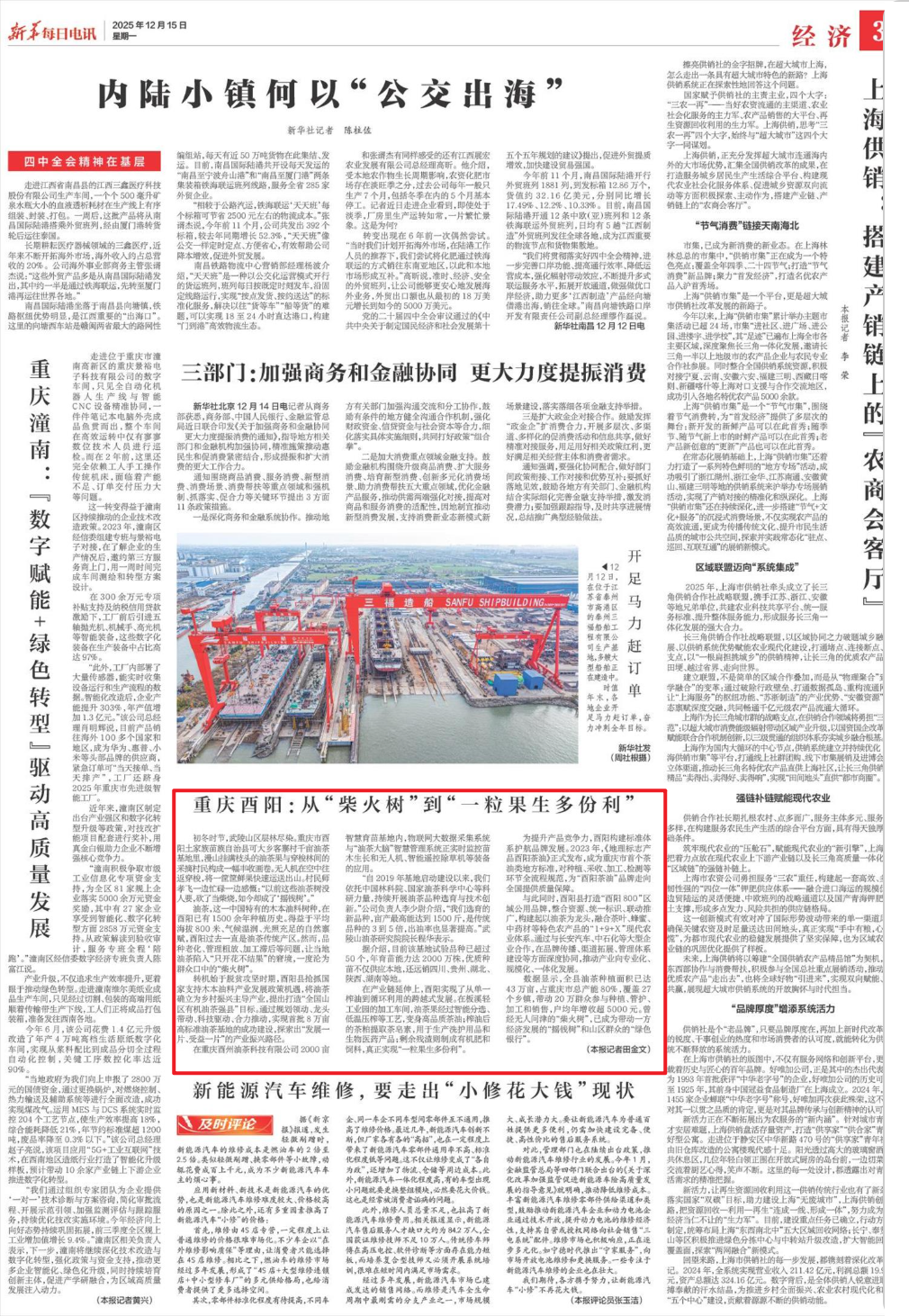 重庆酉阳：从“柴火树”到“一粒果生多份利”