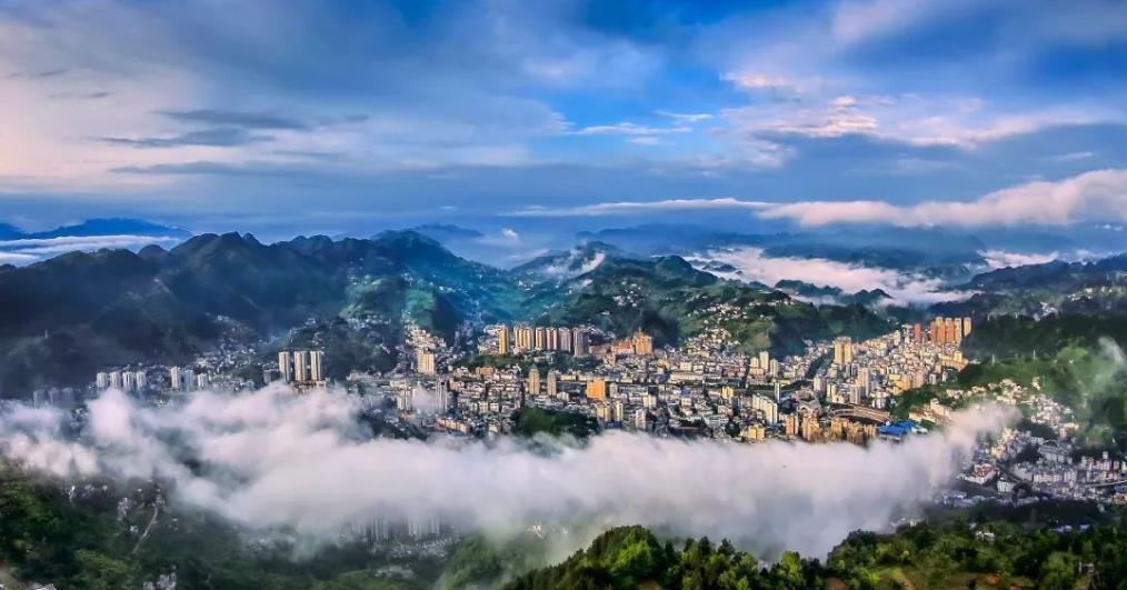 2025年区政府党组第11次会议召开