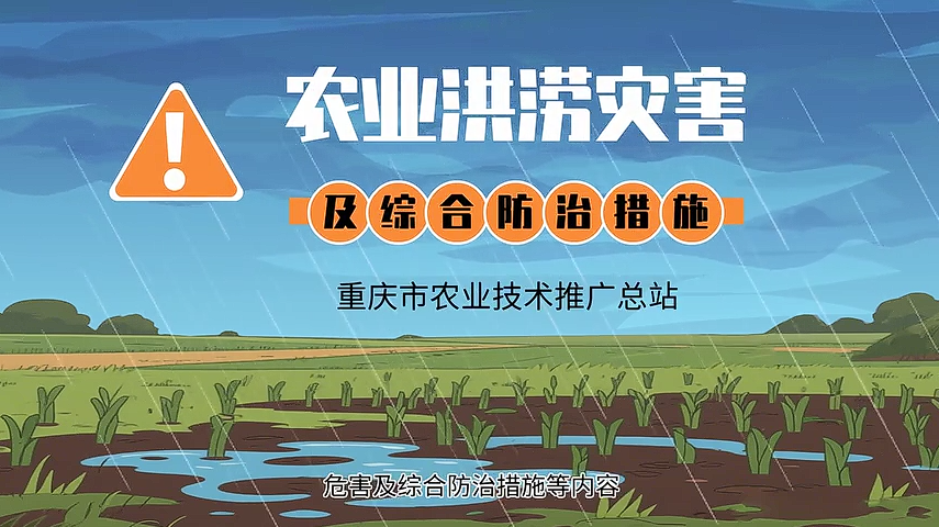 【农技短视频】农业洪涝灾害及综合防治措施