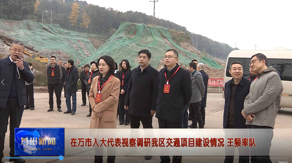 在万市人大代表视察调研我区交通项目建设情况 王频率队