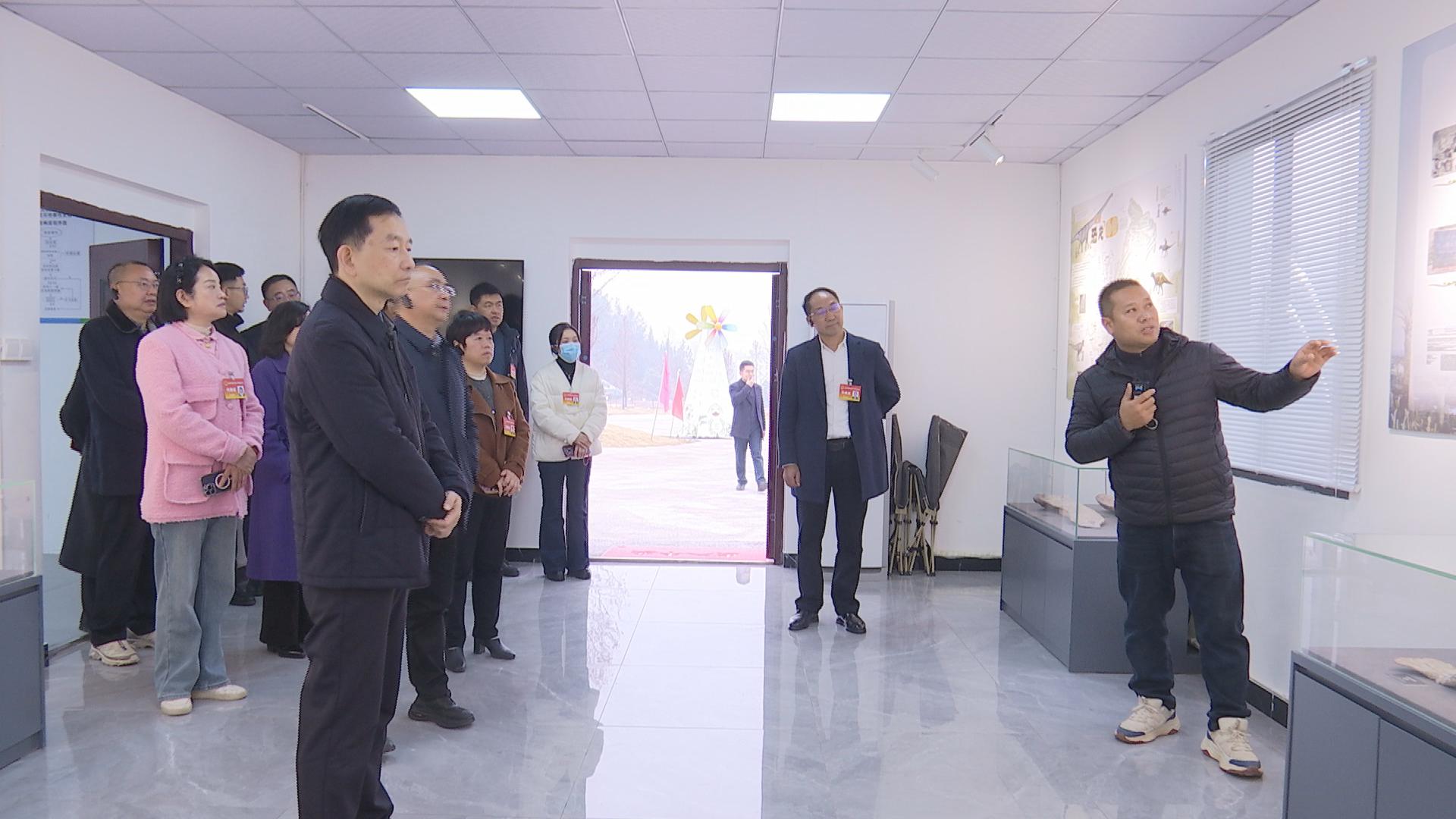 市人大代表黔江联系组视察黔江经济社会发展情况