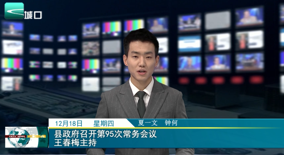 县政府召开第95次常务会议 王春梅主持