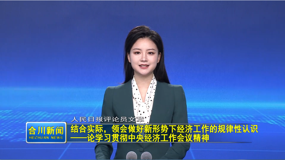 结合实际，领会做好新形势下经济工作的规律性认识  ——论学习贯彻中央经济工作会议精神