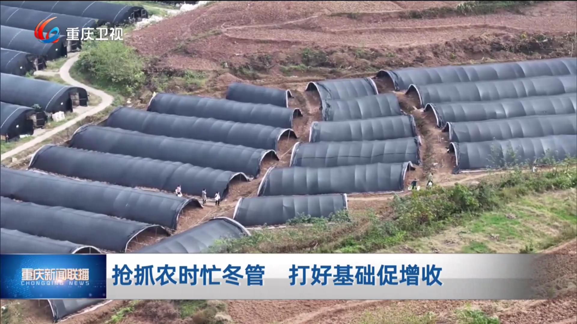 抢抓农时忙冬管 打好基础促增收