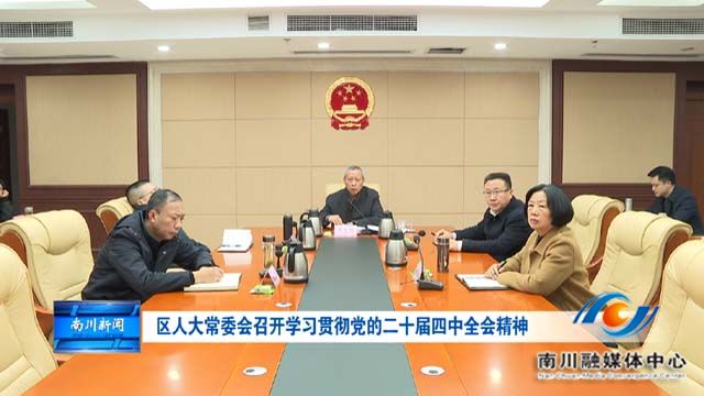 区人大常委会召开学习贯彻党的二十届四中全会精神