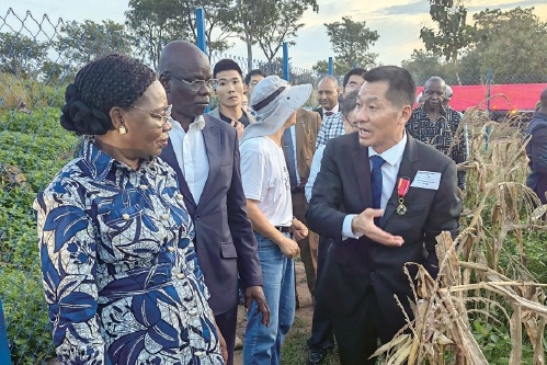 重庆黑玉米技术在非交出“丰收答卷”