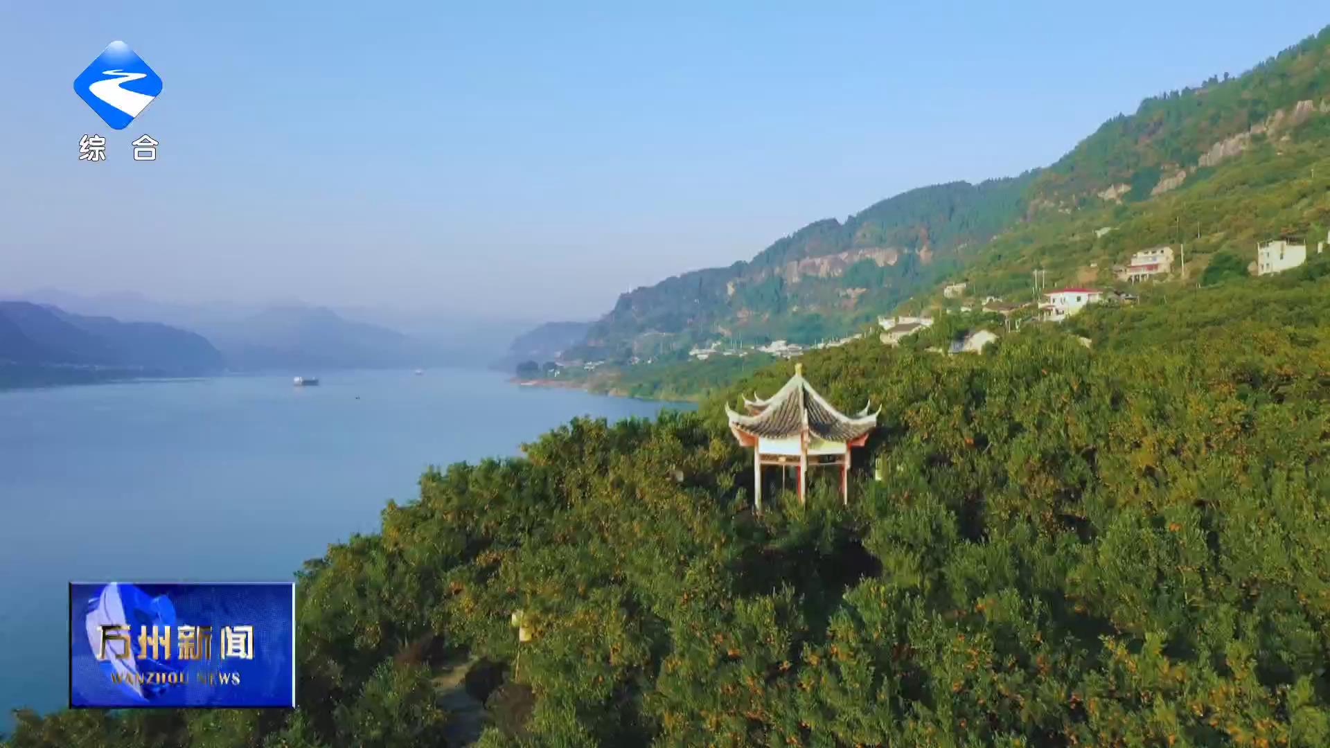 【“十四五”答卷】守底线 强产业 促振兴 万州巩固拓展脱贫攻坚成果迈上新台阶