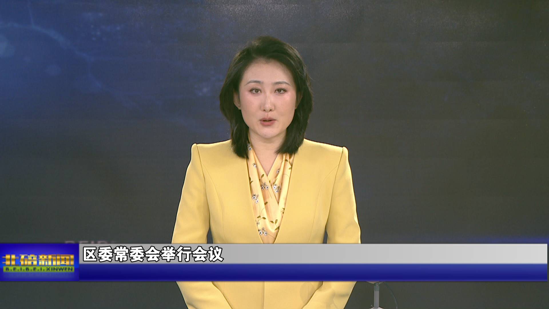 区委常委会举行会议