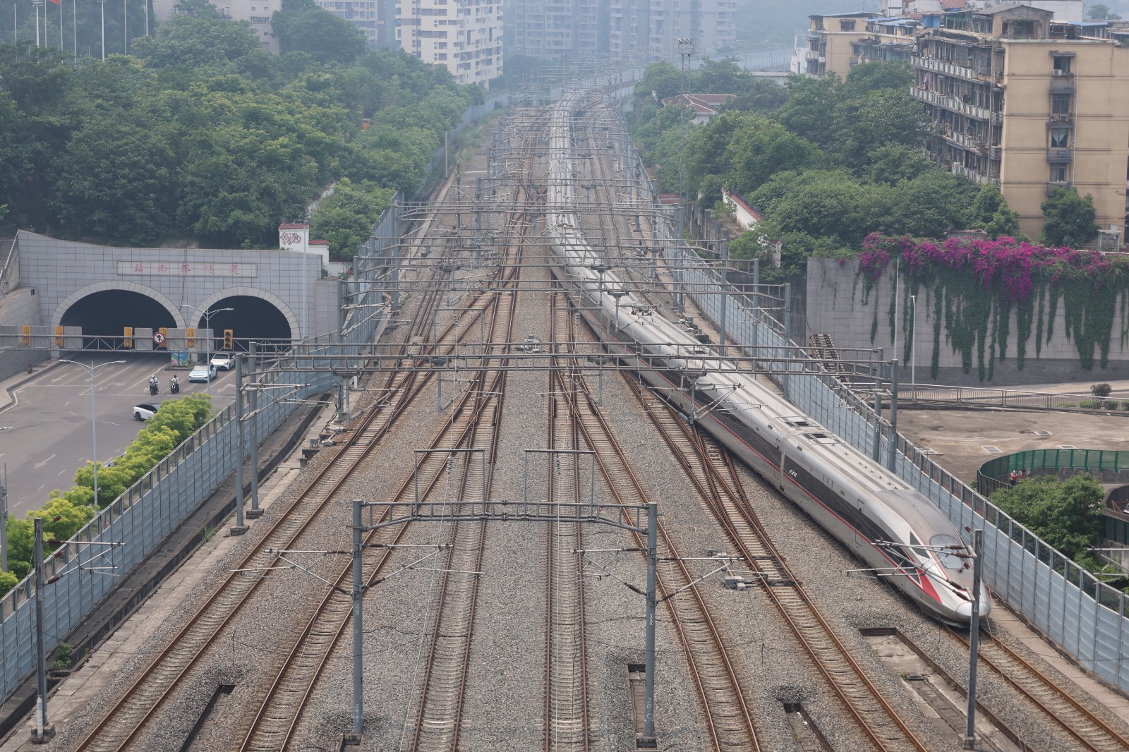 尹丽娟（摄 (6).JPG