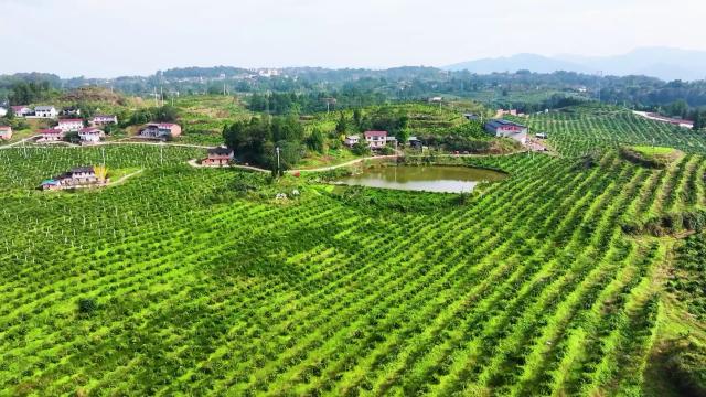 忠县入选国家级生态榜单