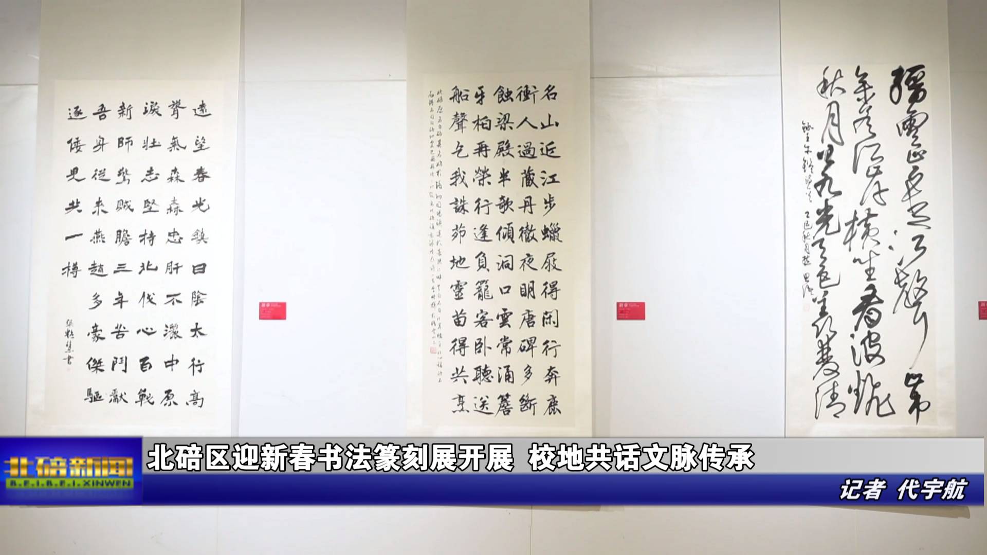 北碚区迎新春书法篆刻展开展 校地共话文脉传承