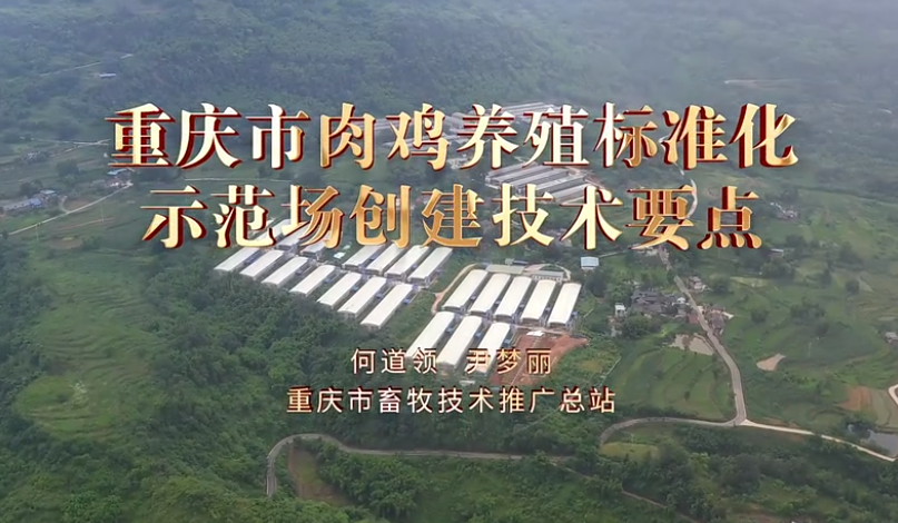 【农技慕课】重庆市肉鸡养殖标准化示范场创建技术要点