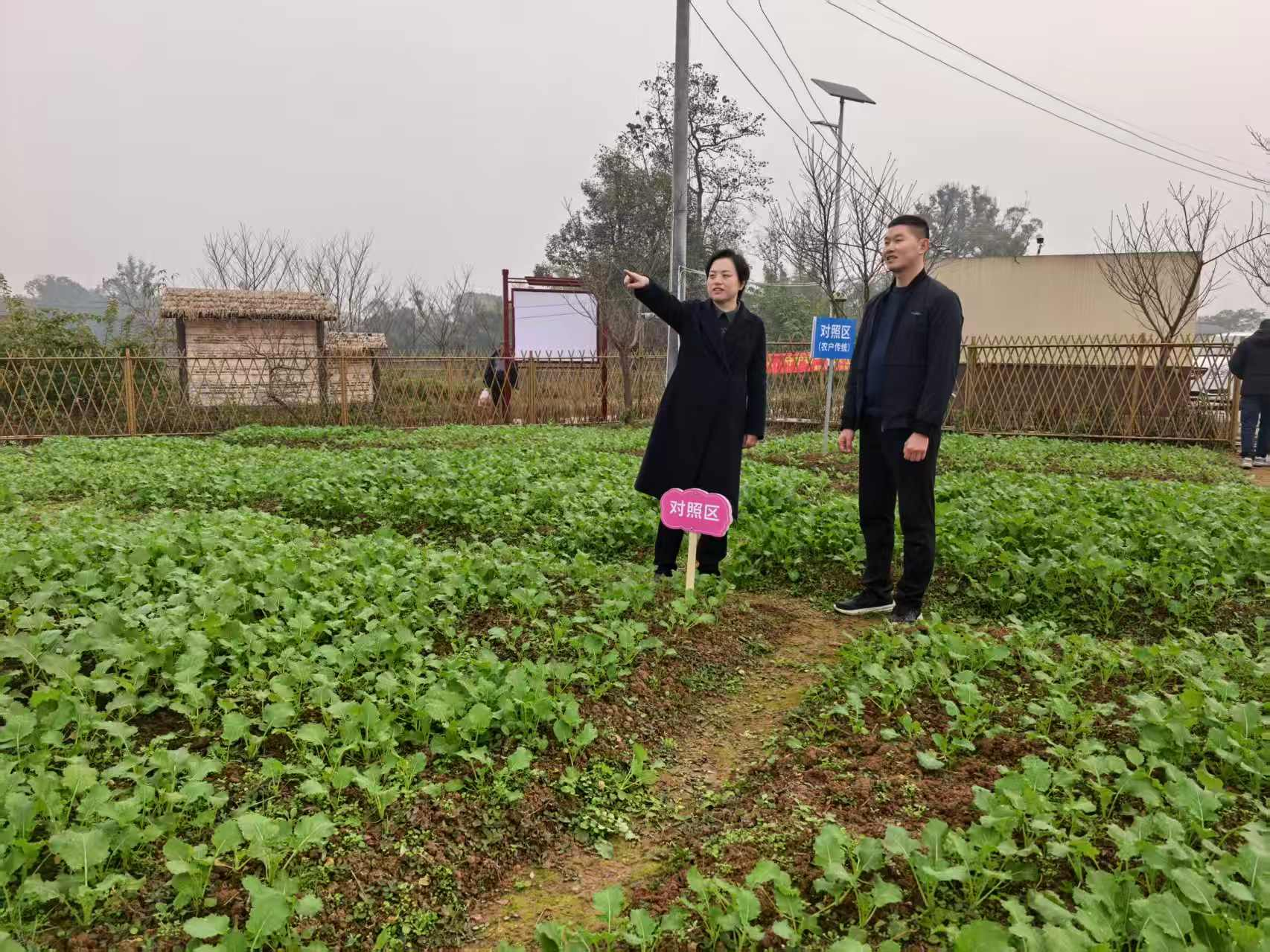 拾万镇人大：聚焦生态改良，助推“沃土良田计划”落地见效