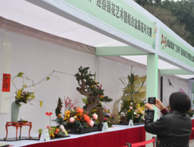 2026成渝双城“工匠杯”迎春插花艺术暨组合盆栽花卉大赛启幕 92件佳作绘就新春视觉盛宴