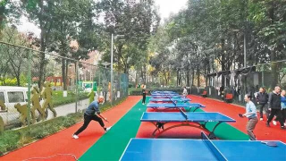 【重庆日报】把小事办好办实 | 九龙坡区彩云湖湿地公园：球场不再滑 全力拼球技