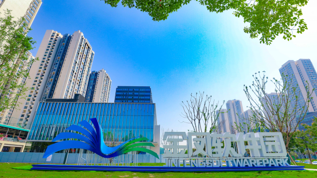 “满天星”实施“引、育、服”政策 重庆三年引进软信人才26.3万人