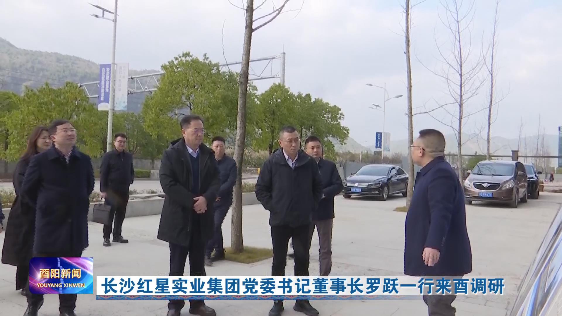 长沙红星实业集团党委书记董事长罗跃一行来酉调研