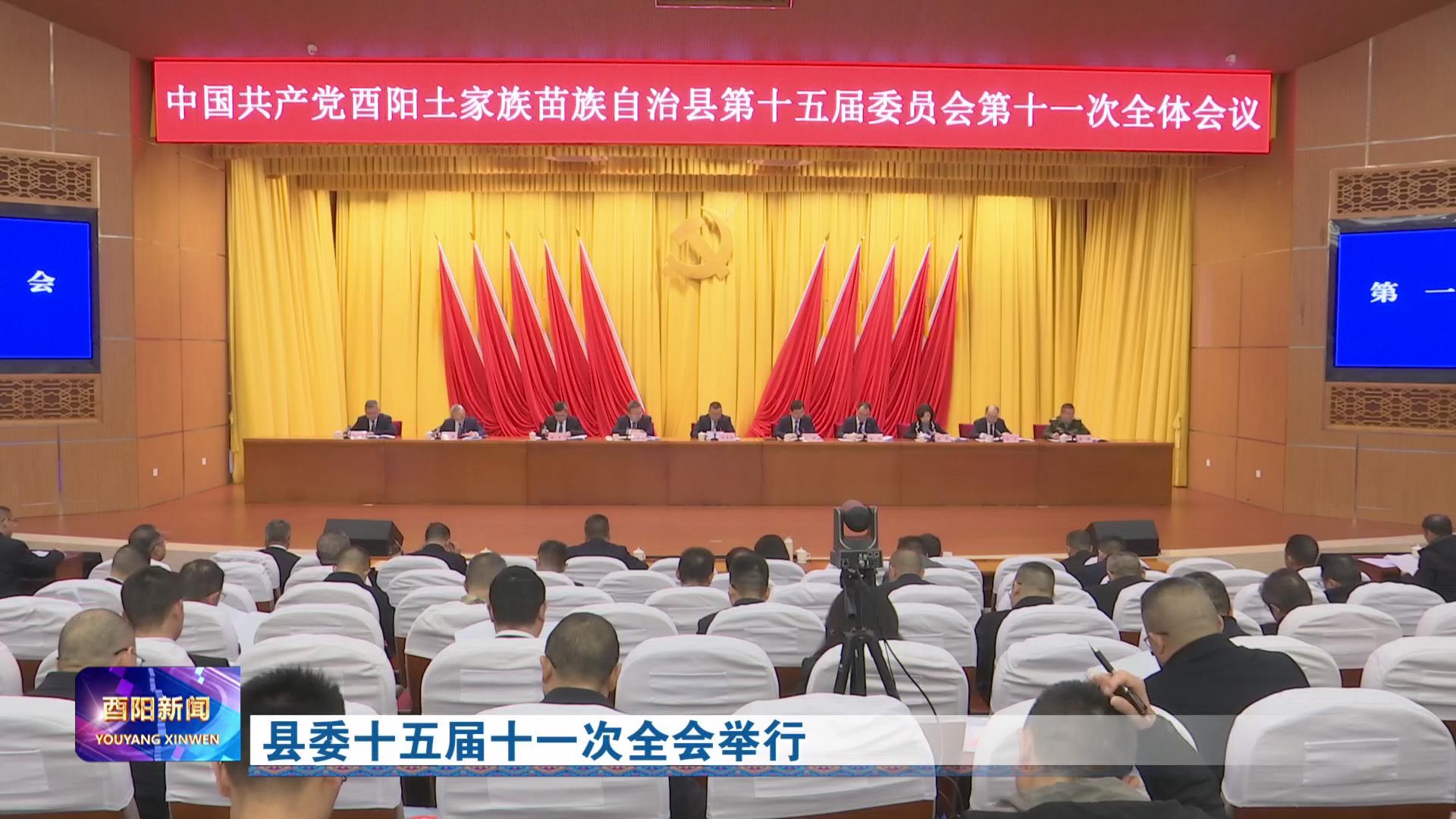县委十五届十一次全会举行