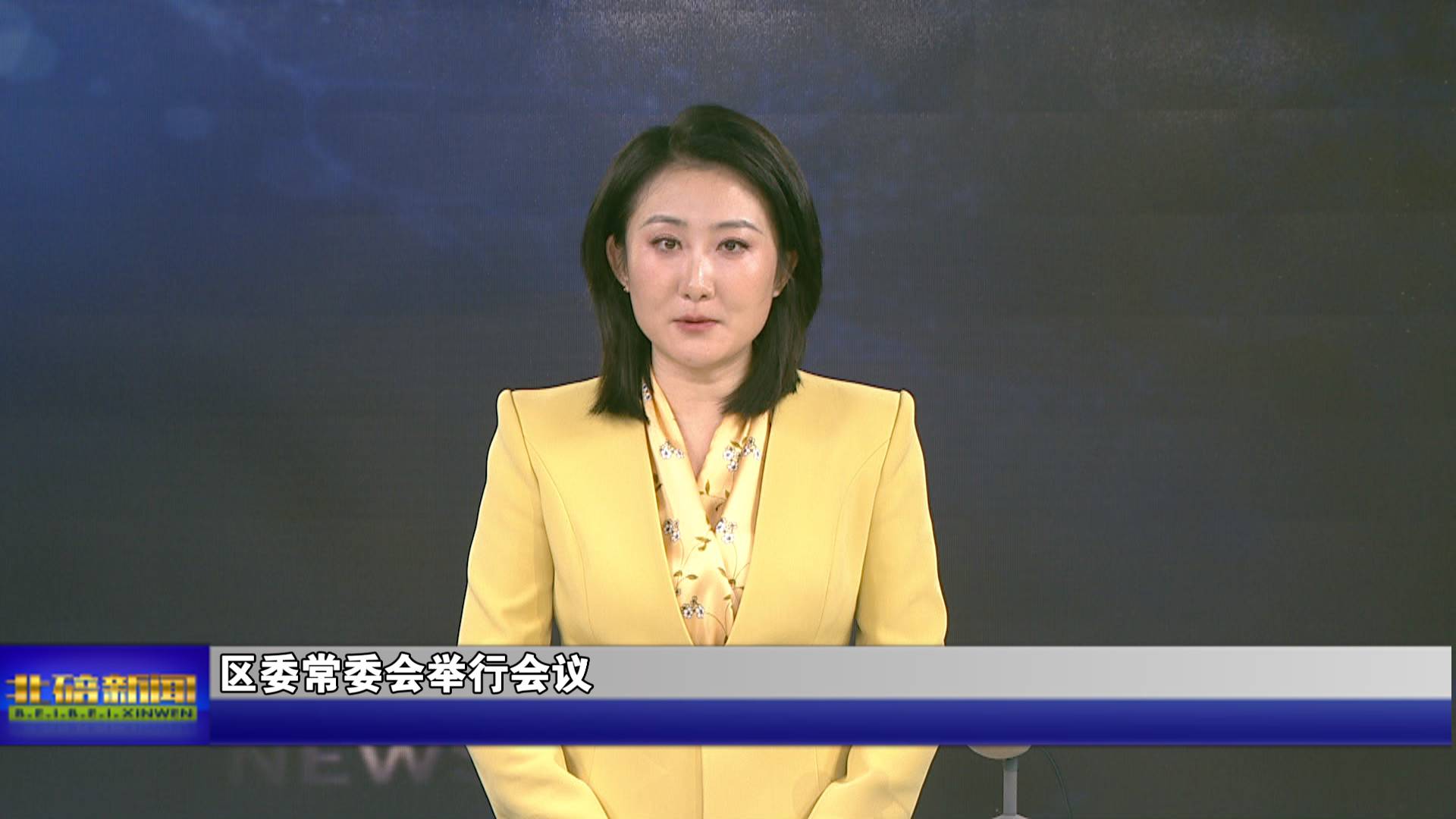 区委常委会举行会议