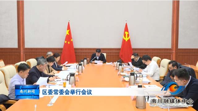 区委常委会举行会议