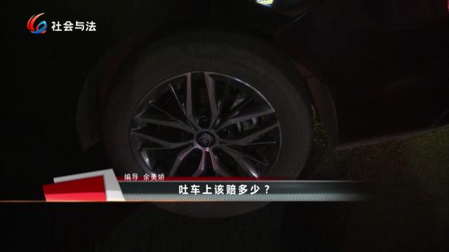  吐车上该赔多少？