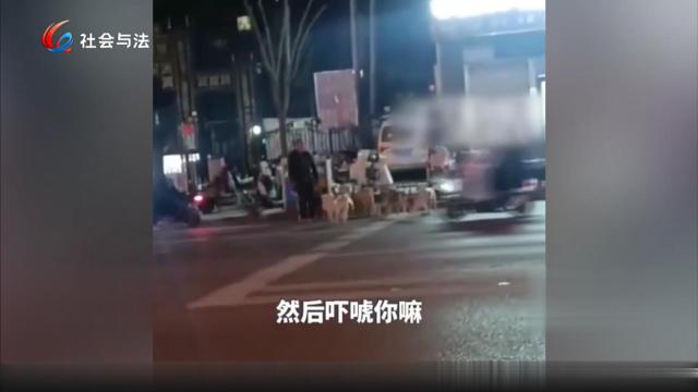 男子不栓绳遛20余狗见人就追 目击者：不咬人之吓唬人