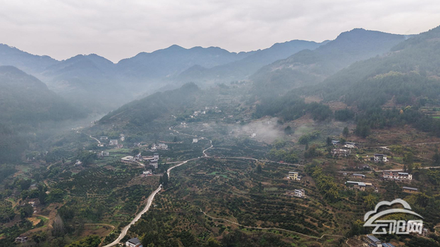 云阳：33万亩柑橘喜获丰收 带动27万果农增收