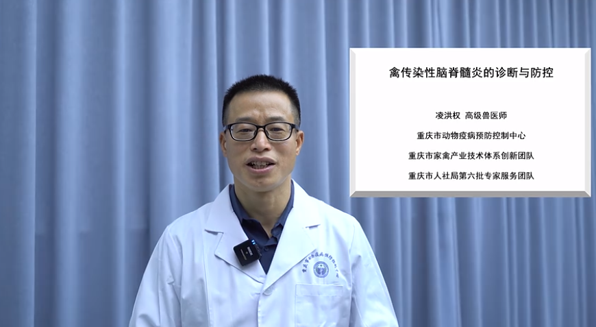 【农技慕课】《禽传染性脑脊髓炎的诊断与防控》