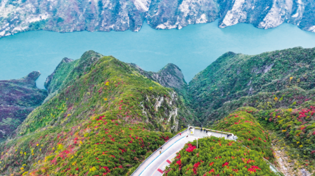 重庆的长江之歌越唱越响亮——写在推动长江经济带发展战略实施十周年之际