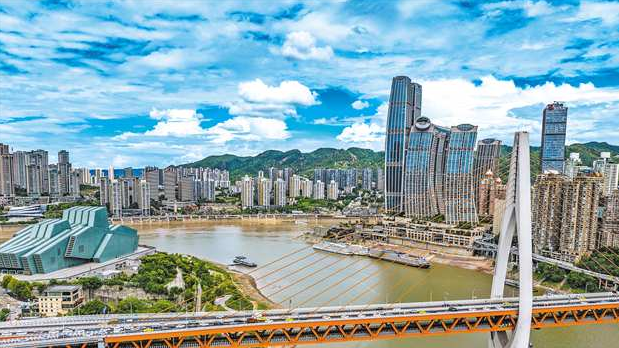 共抓大保护 不搞大开发 奋力交出长江经济带高质量发展高分报表