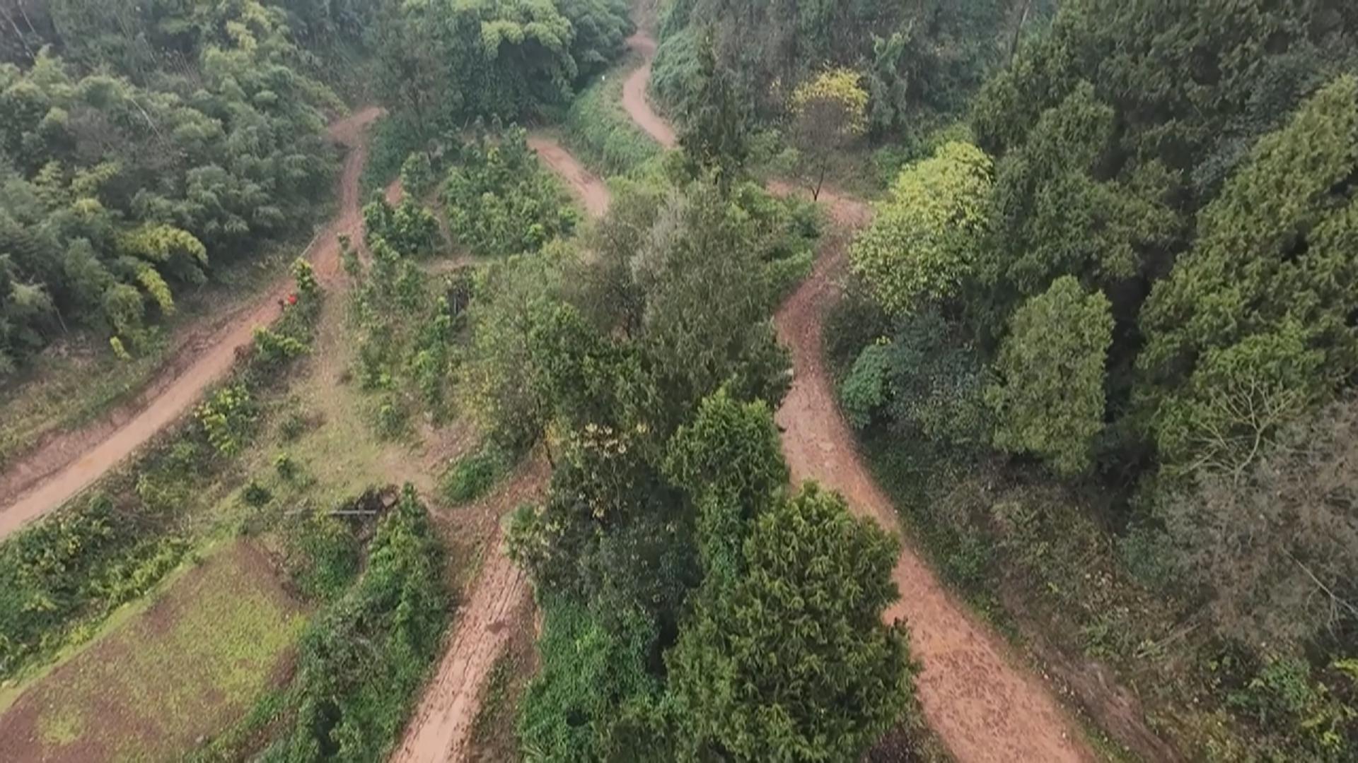 今日关注： 多年泥泞路何时能便民