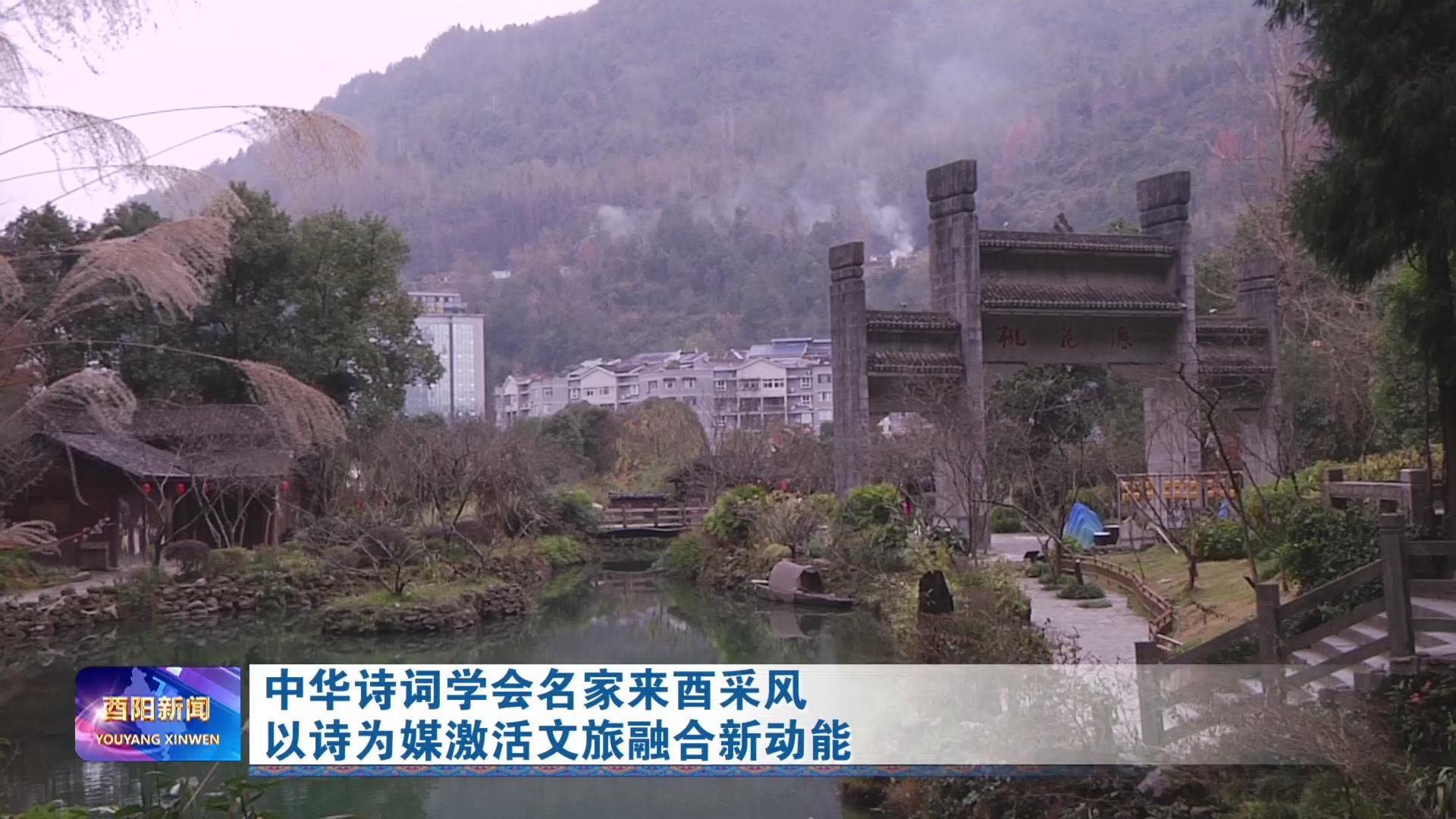 中华诗词学会名家来酉采风以诗为媒激活文旅融合新动能