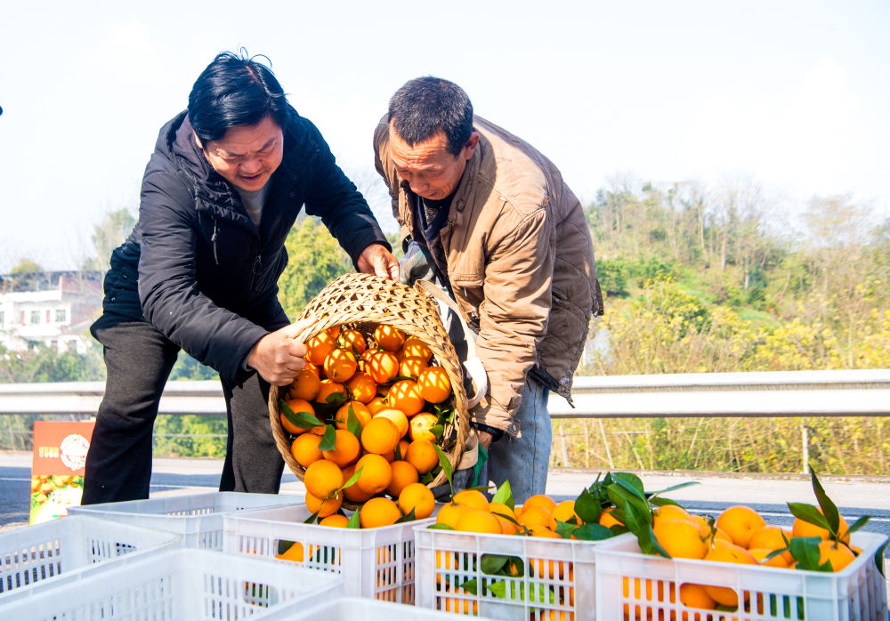 GcqfshC000001_20260107_CBMFN0A002 (1).jpg