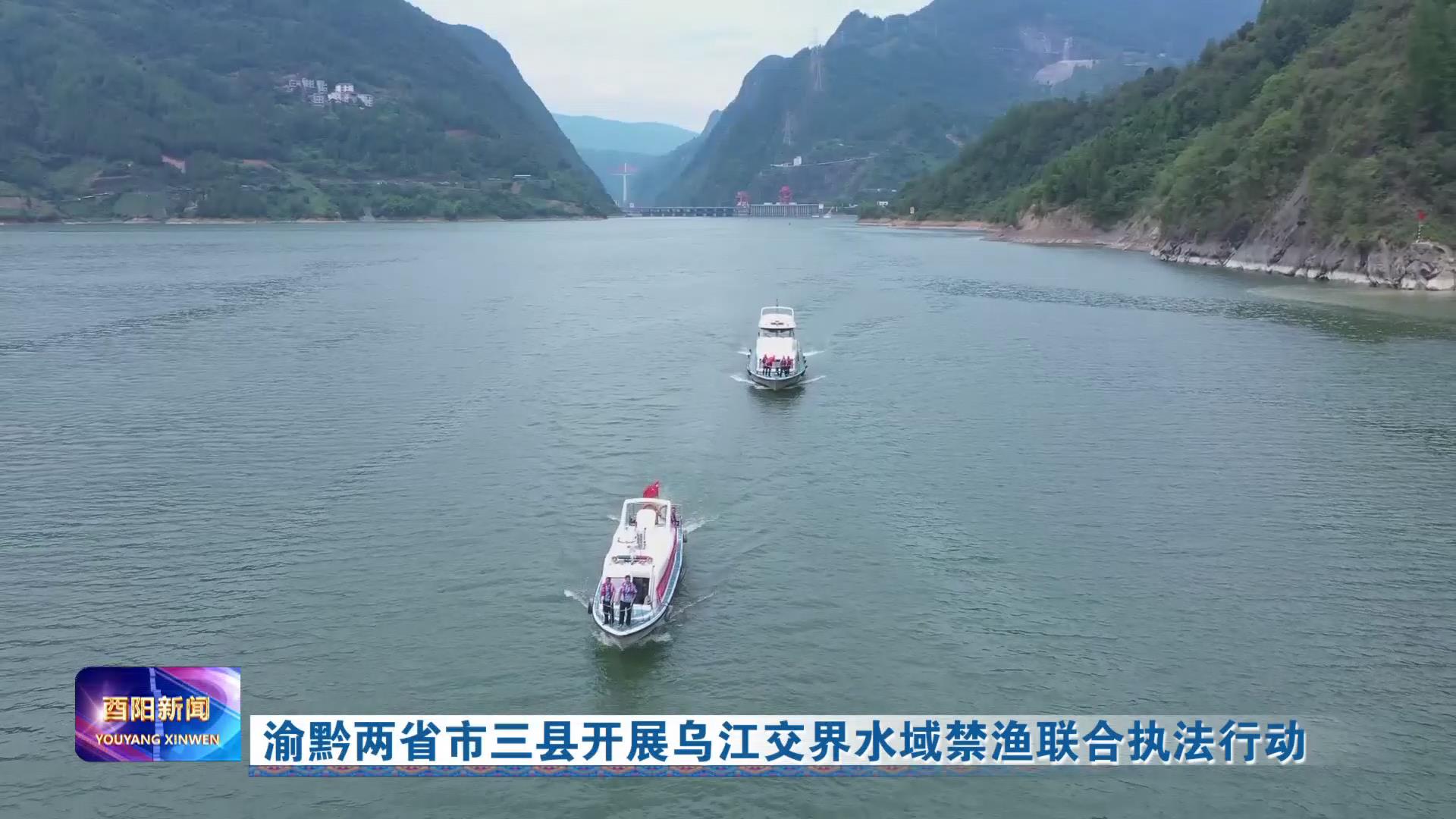 渝黔两省市三县开展乌江交界水域禁渔联合执法行动