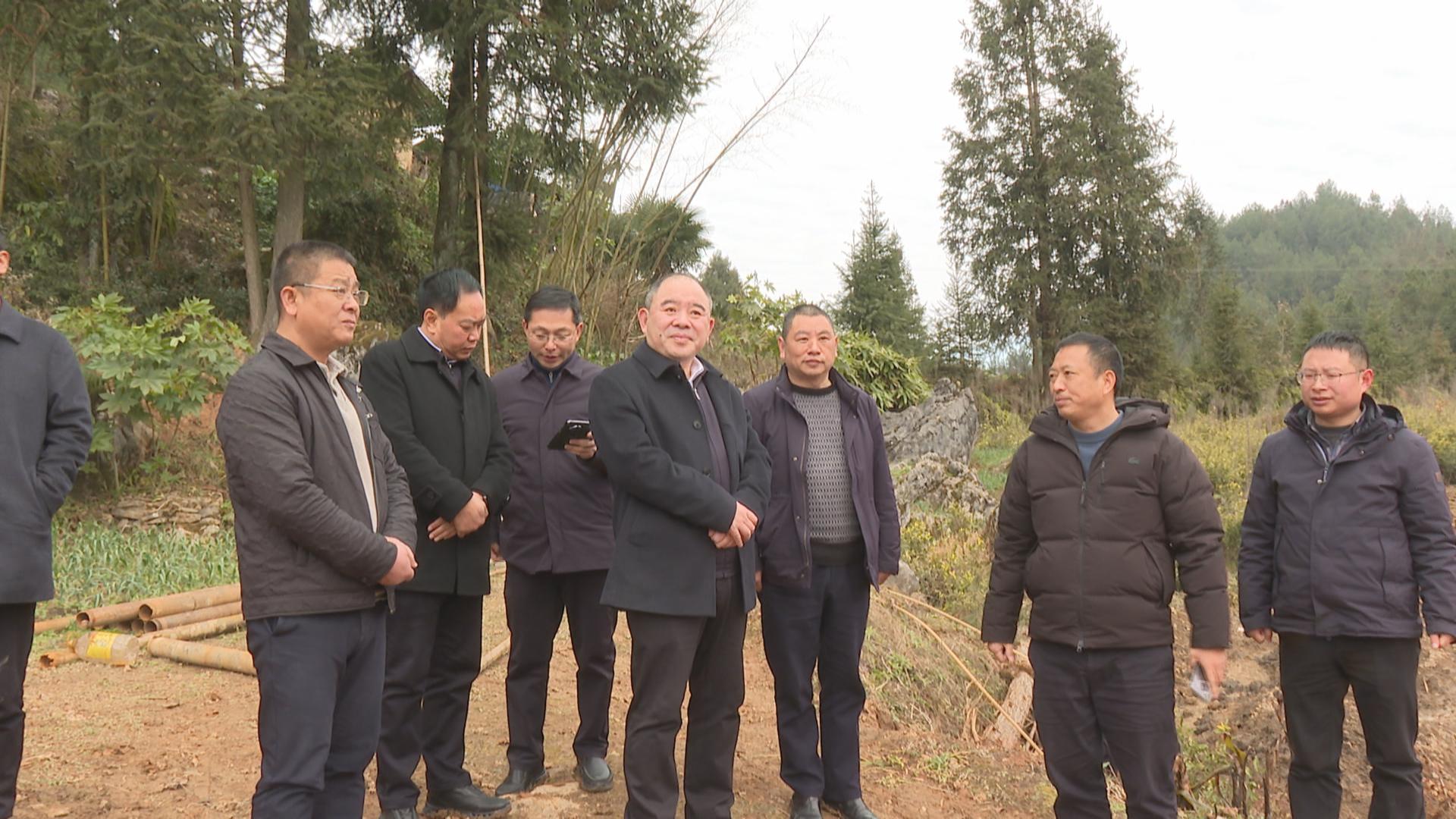 骆高燕调研工厂化种植养殖项目和乡村振兴工作