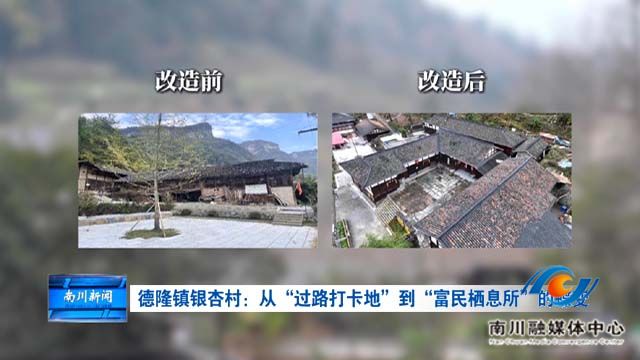 《被看见的承诺》德隆镇银杏村：从“过路打卡地”到“富民栖息所”的蝶变