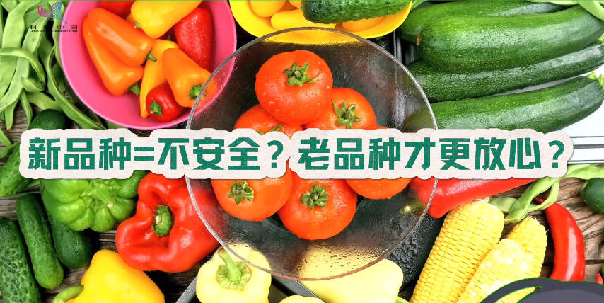 蔬菜新品种就是不安全？老品种才更放心？
