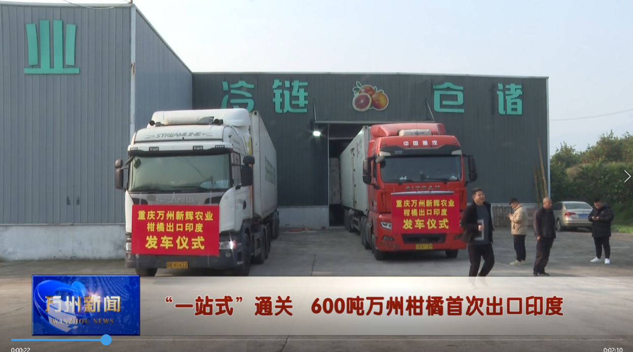 “一站式”通关 600吨万州柑橘首次出口印度