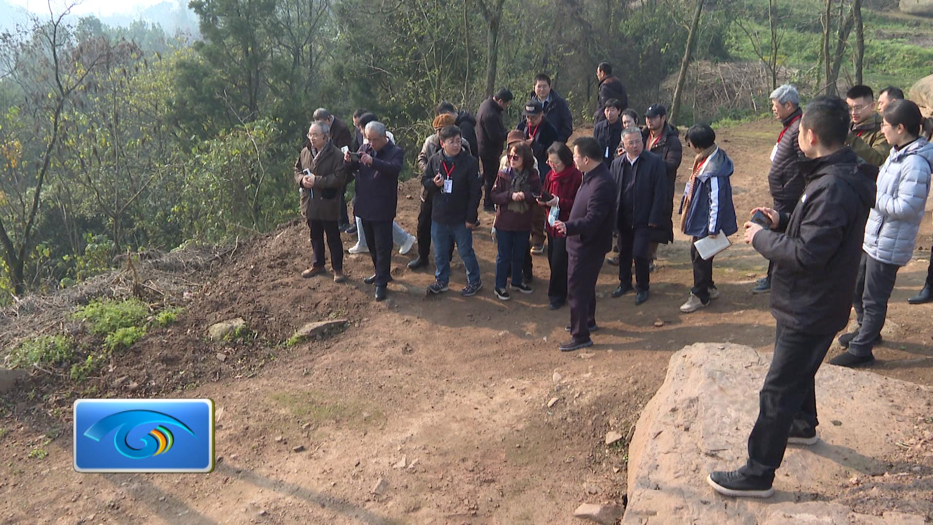 专家学者登临钓鱼城实地调研