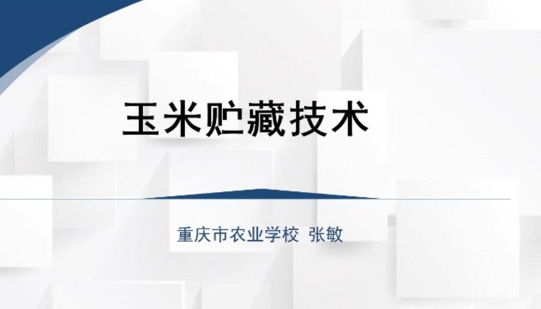 【农技慕课】玉米贮藏技术